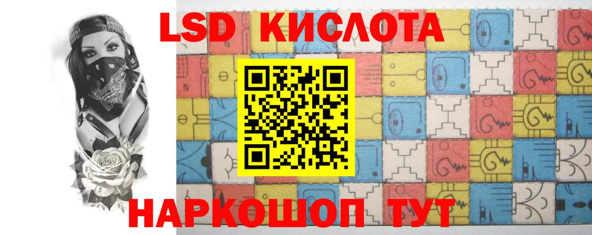 Новозыбков  ЛСД экстази ecstasy  Вход с VPN  Лсд 25 экстази ecstasy 